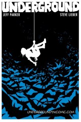 Underground cover. Click to enlarge.