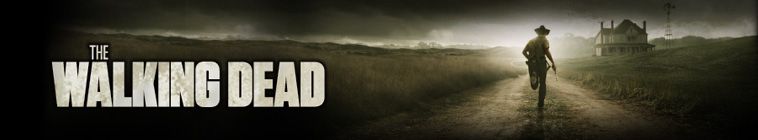 TheWalkingDead-banner-0b46acd0046a39de1248c9587bbba327