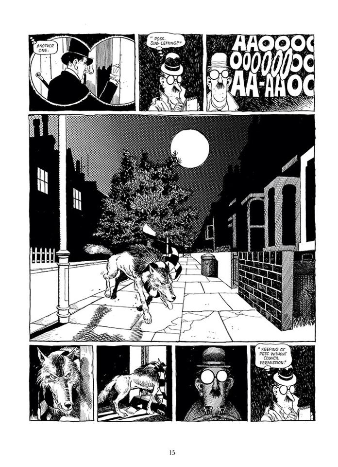 Raoul. Click to enlarge.