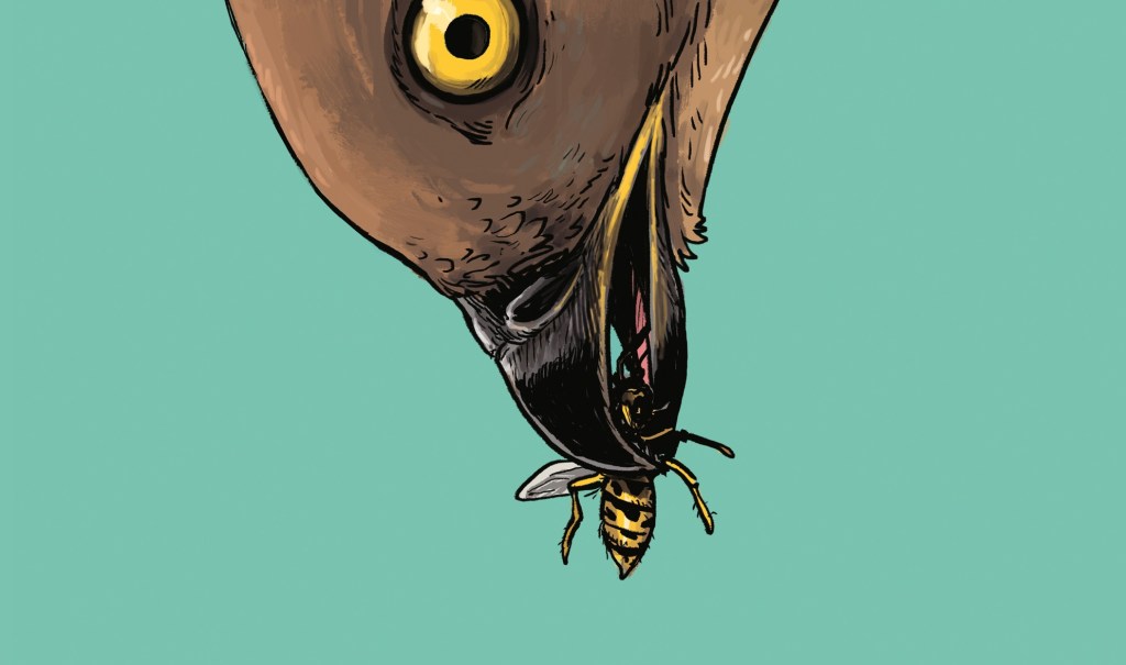 Review – The Return of the Honey Buzzard&nbsp;(SelfMadeHero)