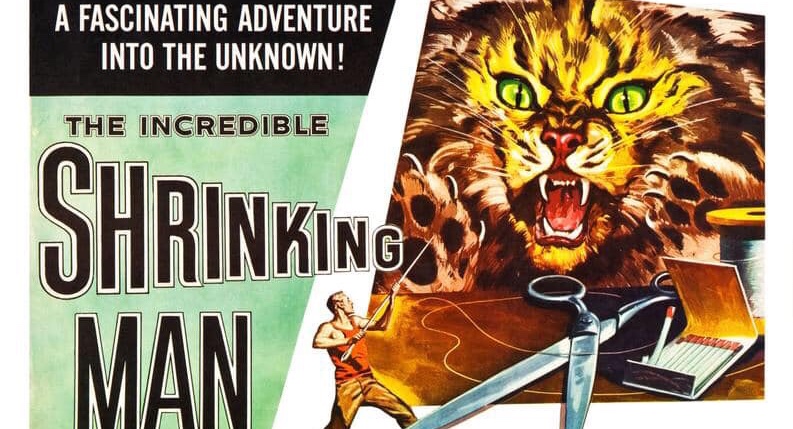 The Incredible Shrinking Man (1957) [31 Days of American Horror&nbsp;Review]