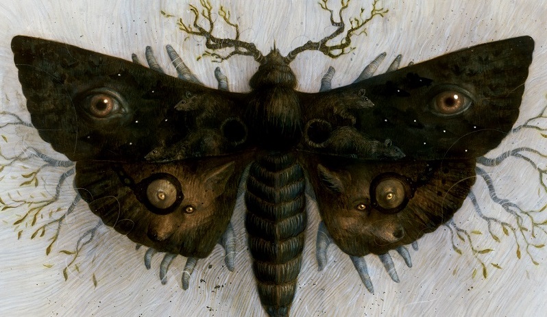 Preview – Sleeping Beauties Vol 2 TP (IDW&nbsp;Publishing)